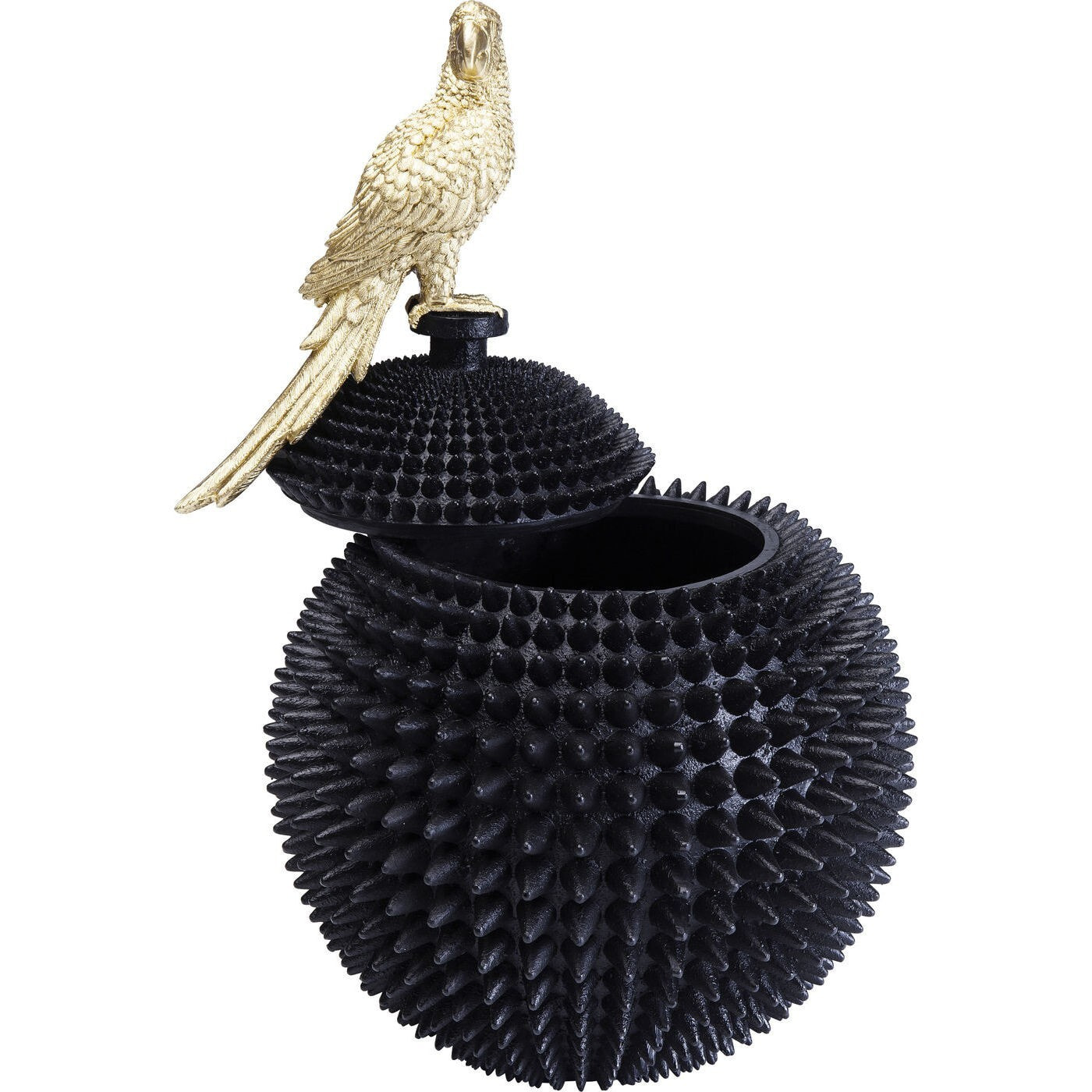 Boîte perroquet Kare Design