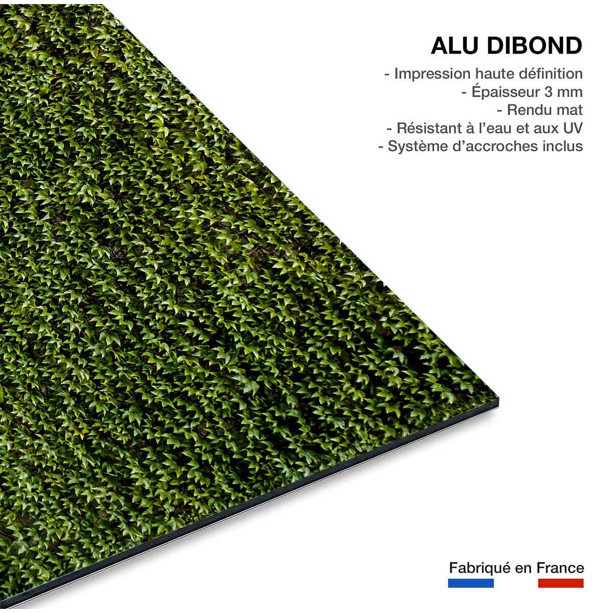 Tableau nature mur de lierres Tableau alu Dibond