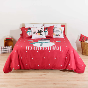 Housse de couette avec clics 100% coton Laponia 20