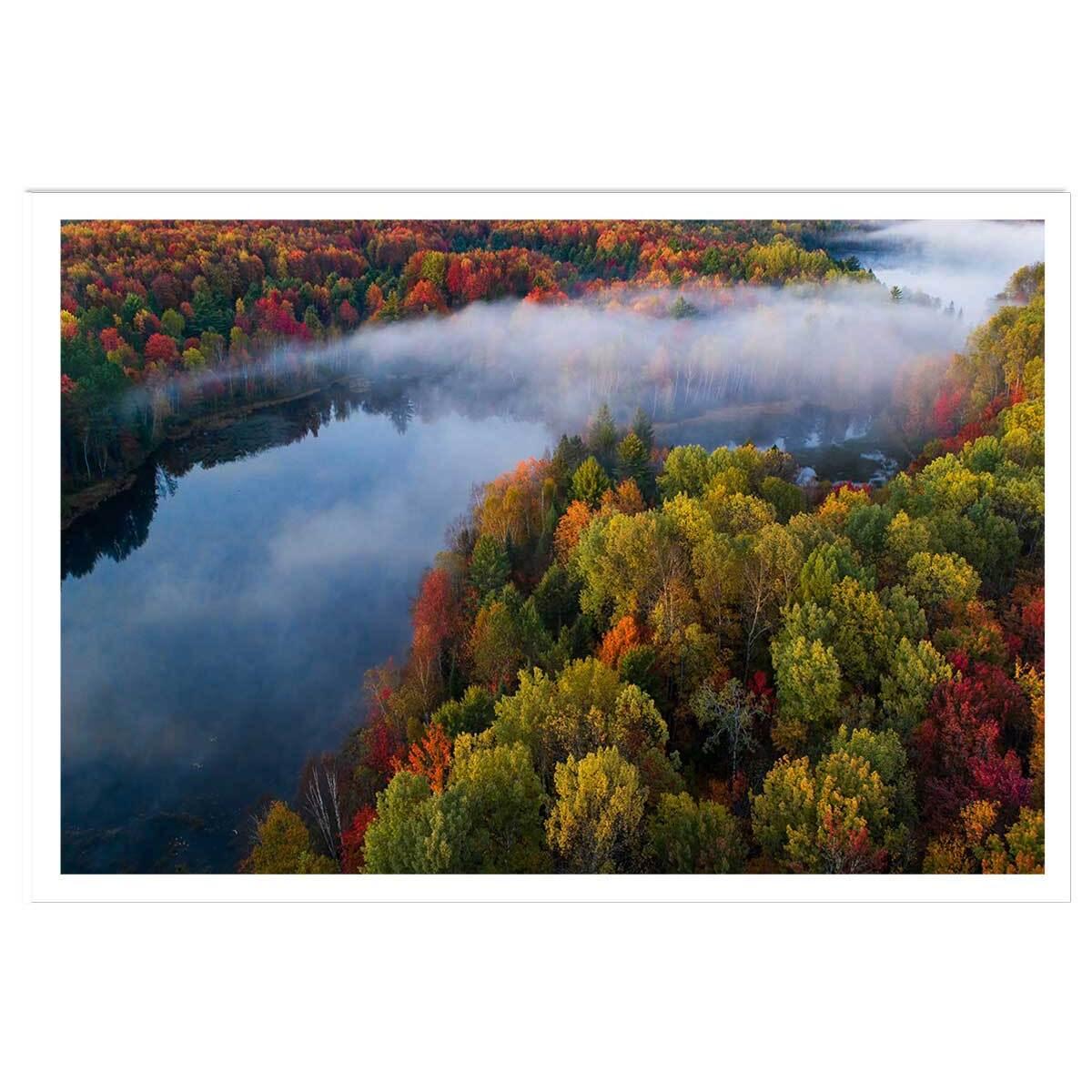 Affiche forêt et symphonie d'automne Affiche seule