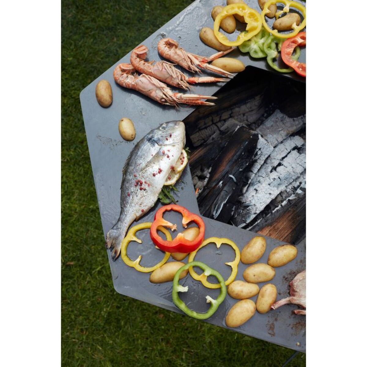 Brasero BARBECOOK Rila brasero et barbecue en acier BC-WOO
