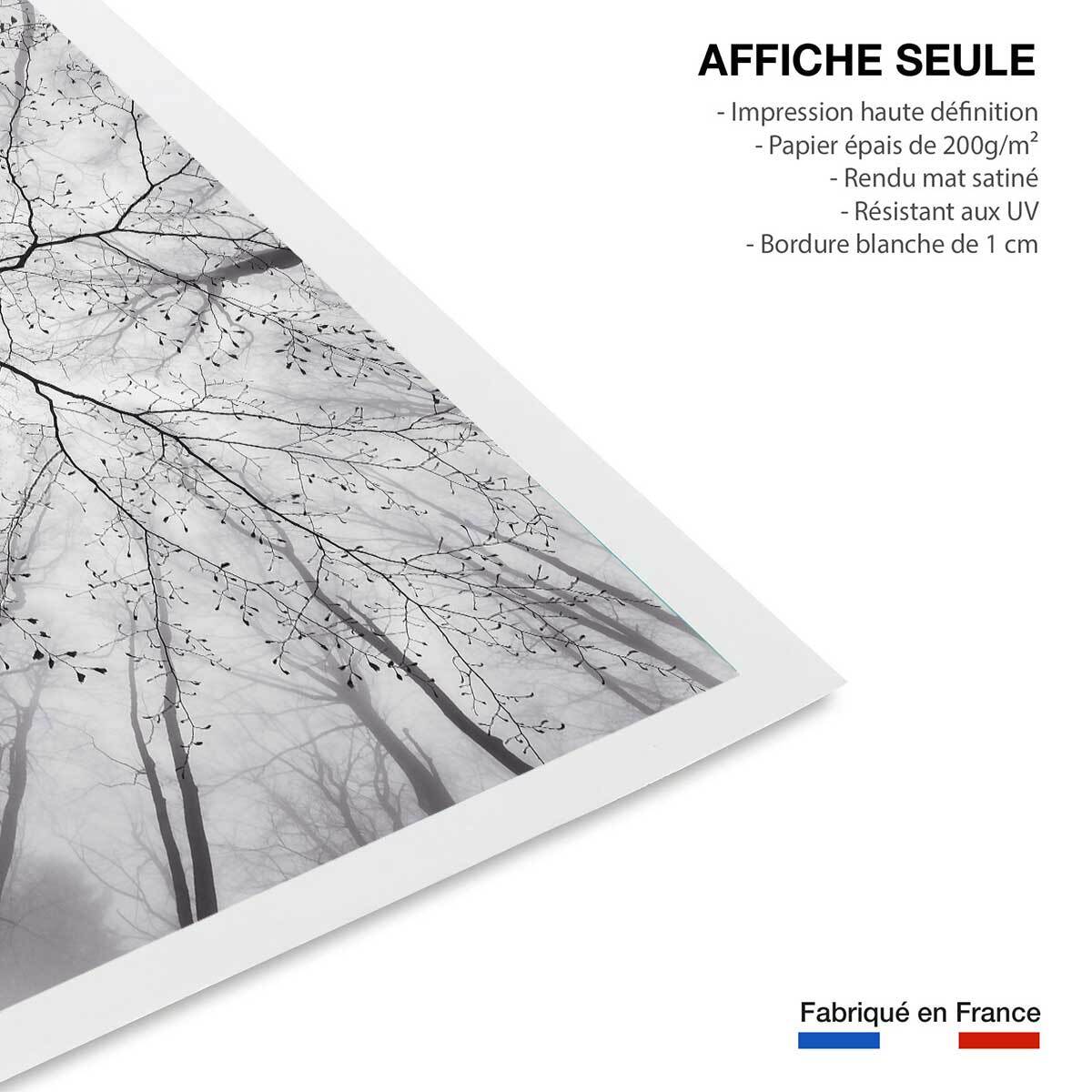 Affiche nature canopée en noir et blanc Affiche seule