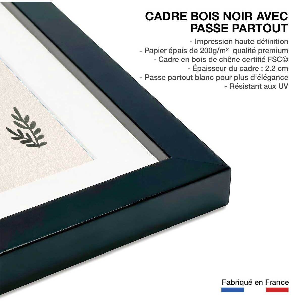 Affiche enfant les grands dinos  Affiche sous cadre noir