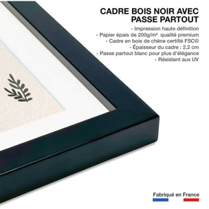 Affiche enfant les grands dinos  Affiche sous cadre noir