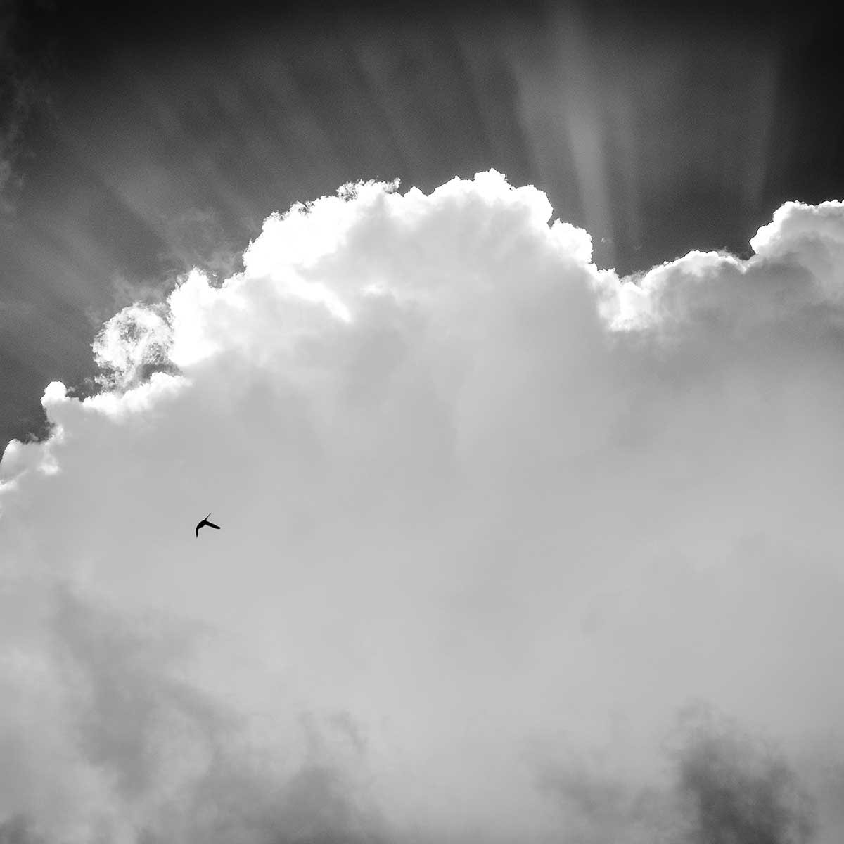 Tableau Affiche illustration graphique cathodique Toile imprimée