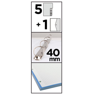 PACK 6 UNITÀ CARTELLA 4 ANELLI CON RICAMBIO A4 SKATE