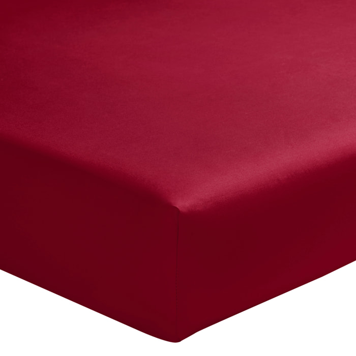 Drap housse uni en percale de coton, bonnet de 30cm, PREMIÈRE, Rouge Carmin