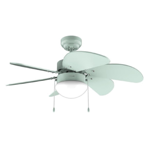 Ventilador de techo con luz EnergySilence Aero 3600 Vision Full Mint Cecotec