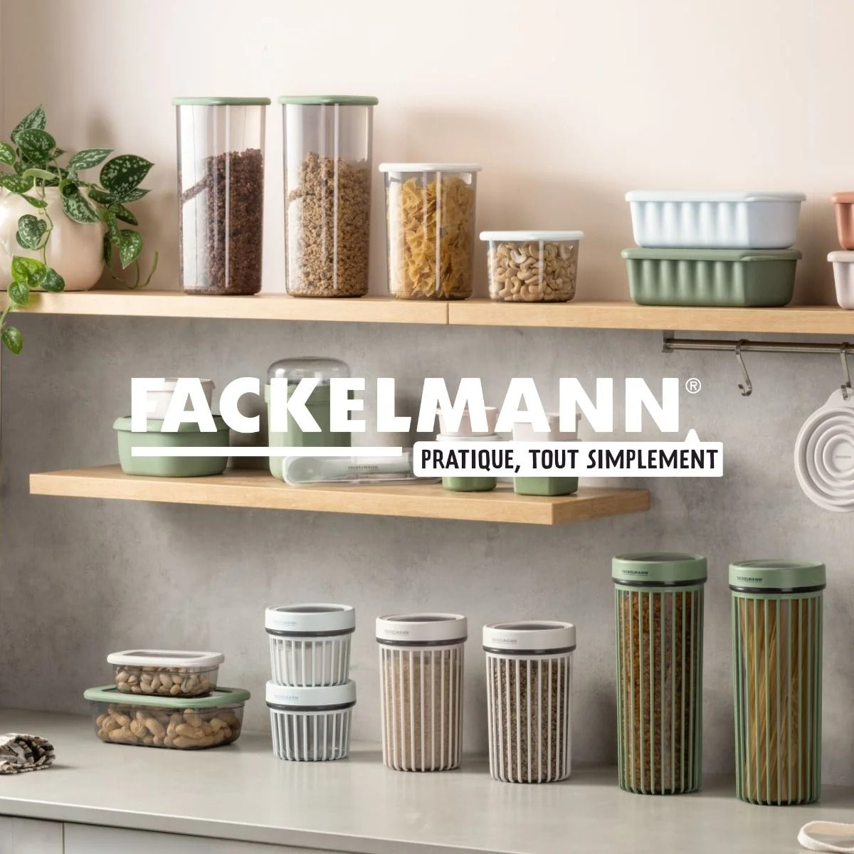 Boite à Provisions Fackelmann Storage