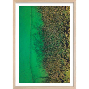 Affiche végétaux et flore aquatique Affiche + cadre en bois - Chêne