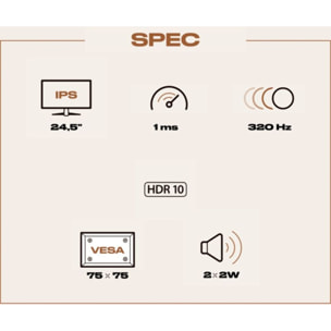 Ecran PC Gamer JAPANNEXT JN-IPS245G320F-HSP 24''