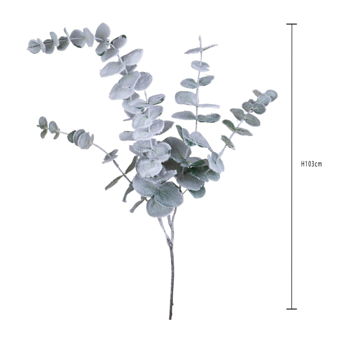 Eucalipto - Pezzi 6 - 18xH103x17cm - Bianchi Dino SpA