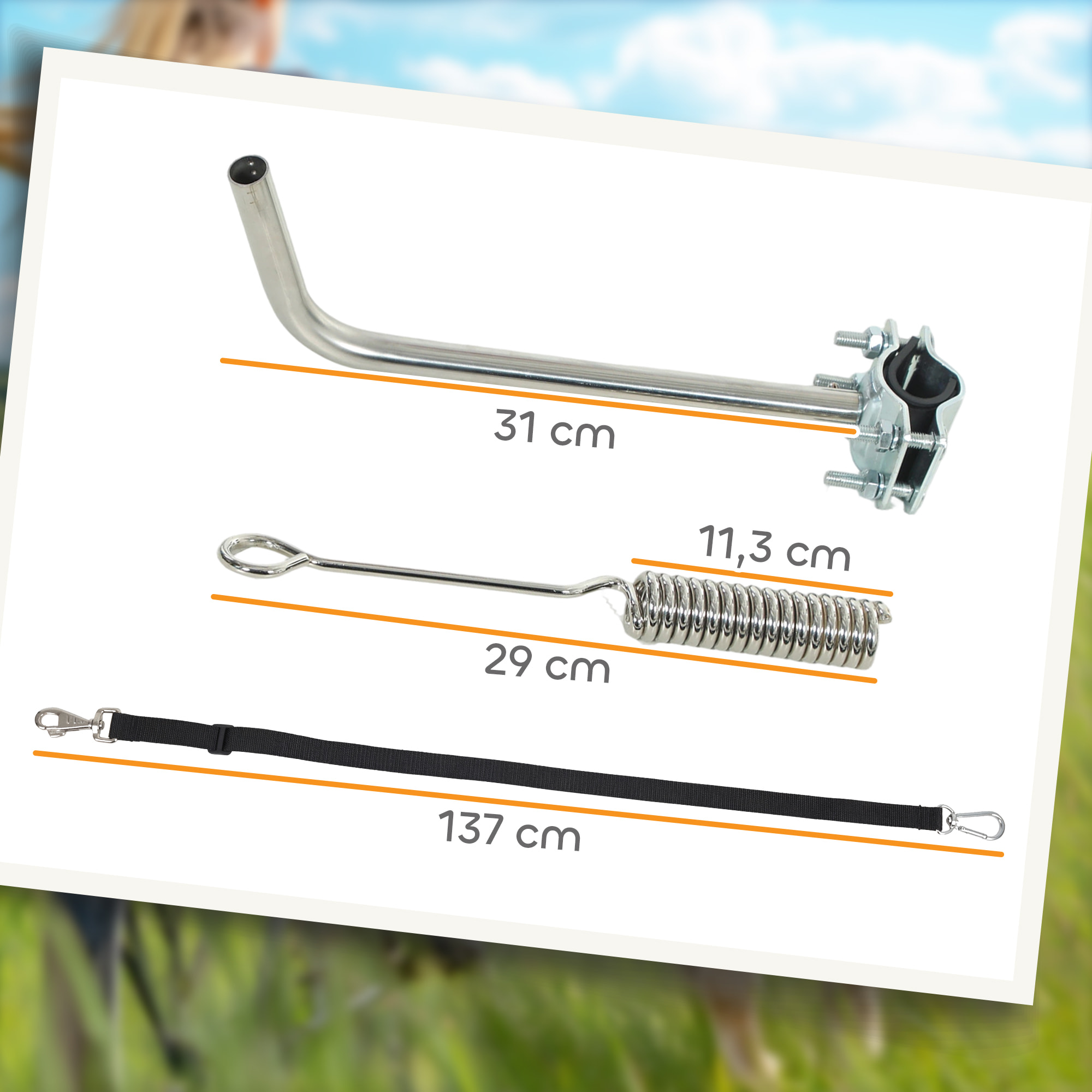 Laisse de vélo pour chien fixation facile rapide ressort amortisseur sangle ajustable