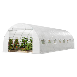 Serre tunnel 24m² dim. 8L x 3l x 2H m - 16 fenêtres, porte zippée - acier galvanisé PE haute densité blanc