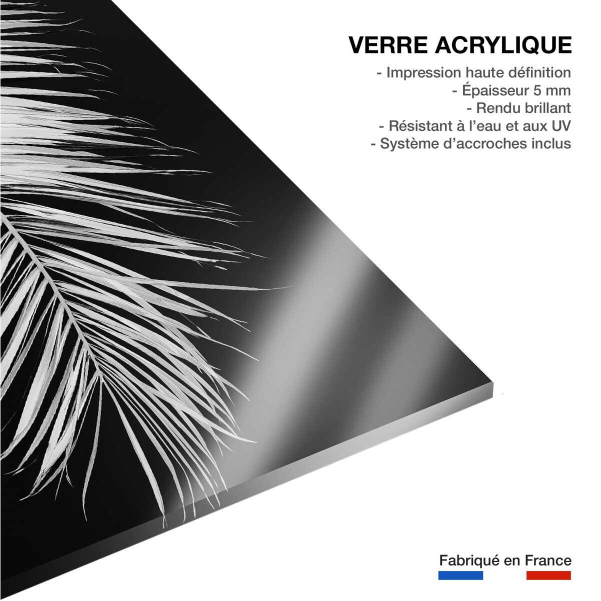 Tableau palme X Tableau plexiglas