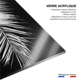 Tableau palme X Tableau plexiglas