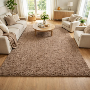 Tapis poils longs shaggy tissé motif uni ZASIVE