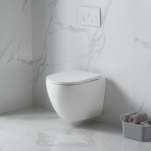 Pack WC Bâti-support + WC sans bride SAT Fusion + Abattant softclose + Plaque Chrome