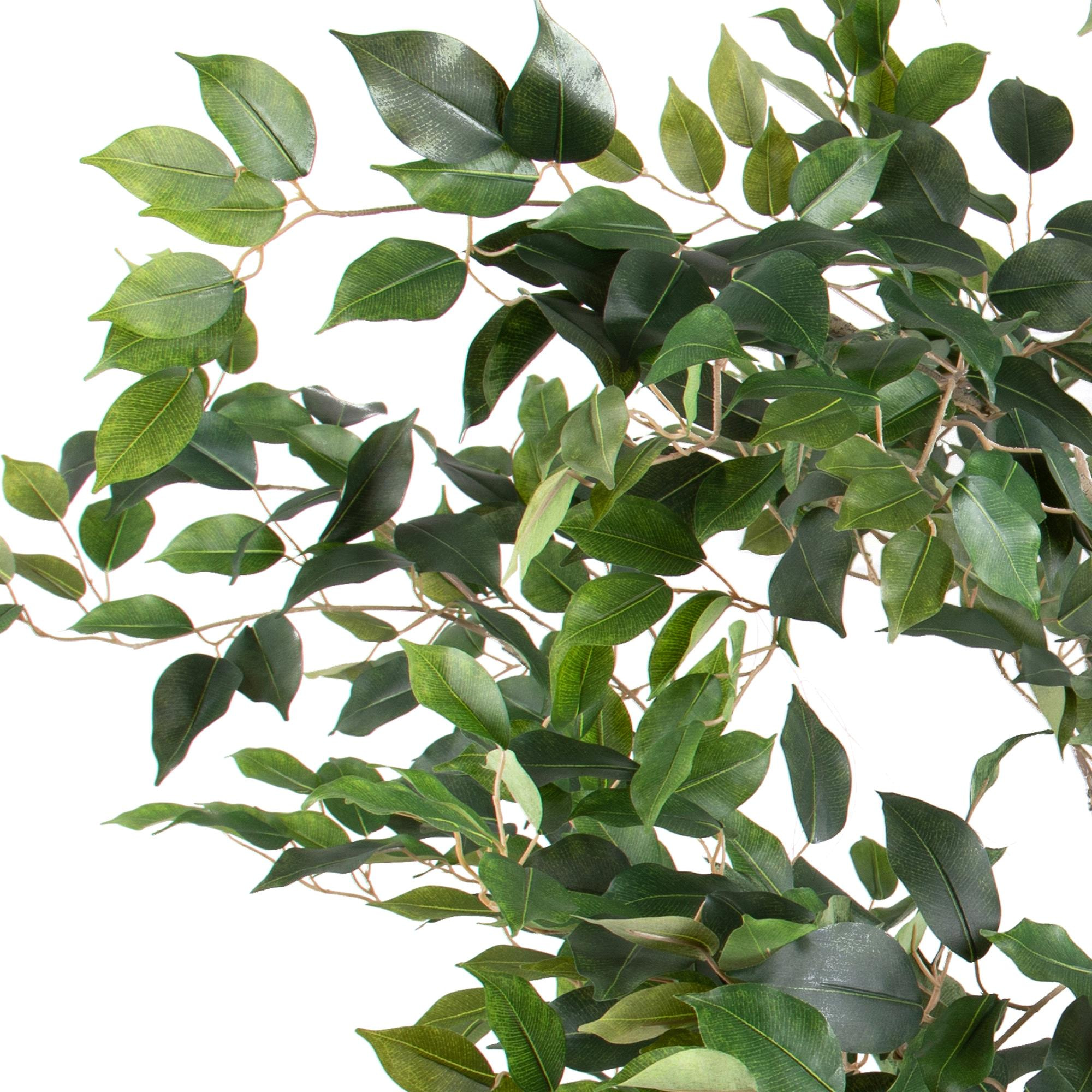 Ficus con Vaso H.213 Cm - Pezzi 1 - 213X66X66cm - Colore: Verde - Bianchi Dino - Piante Artificiali