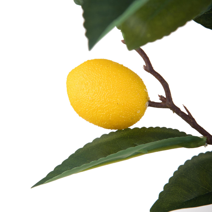 Ramo con limoni - Pezzi 2 - Colore:Assortiti - Bianchi Dino