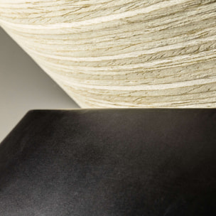 TENDER Plafonnier noir