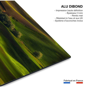 Tableau Colline UsA Tableau alu Dibond