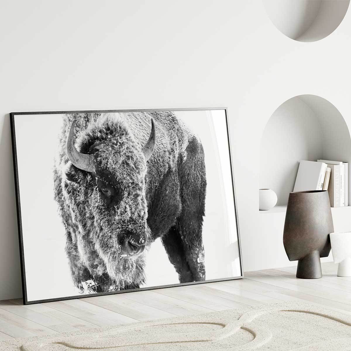 Affiche encadrée bison enneigé en noir et blanc Affiche + cadre en métal - Noir