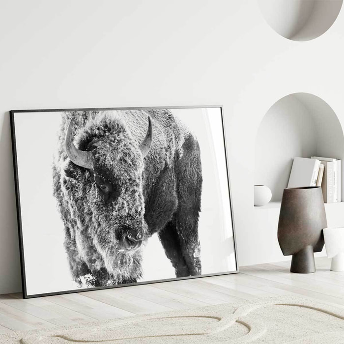 Affiche encadrée bison enneigé en noir et blanc Affiche + cadre en métal - Noir