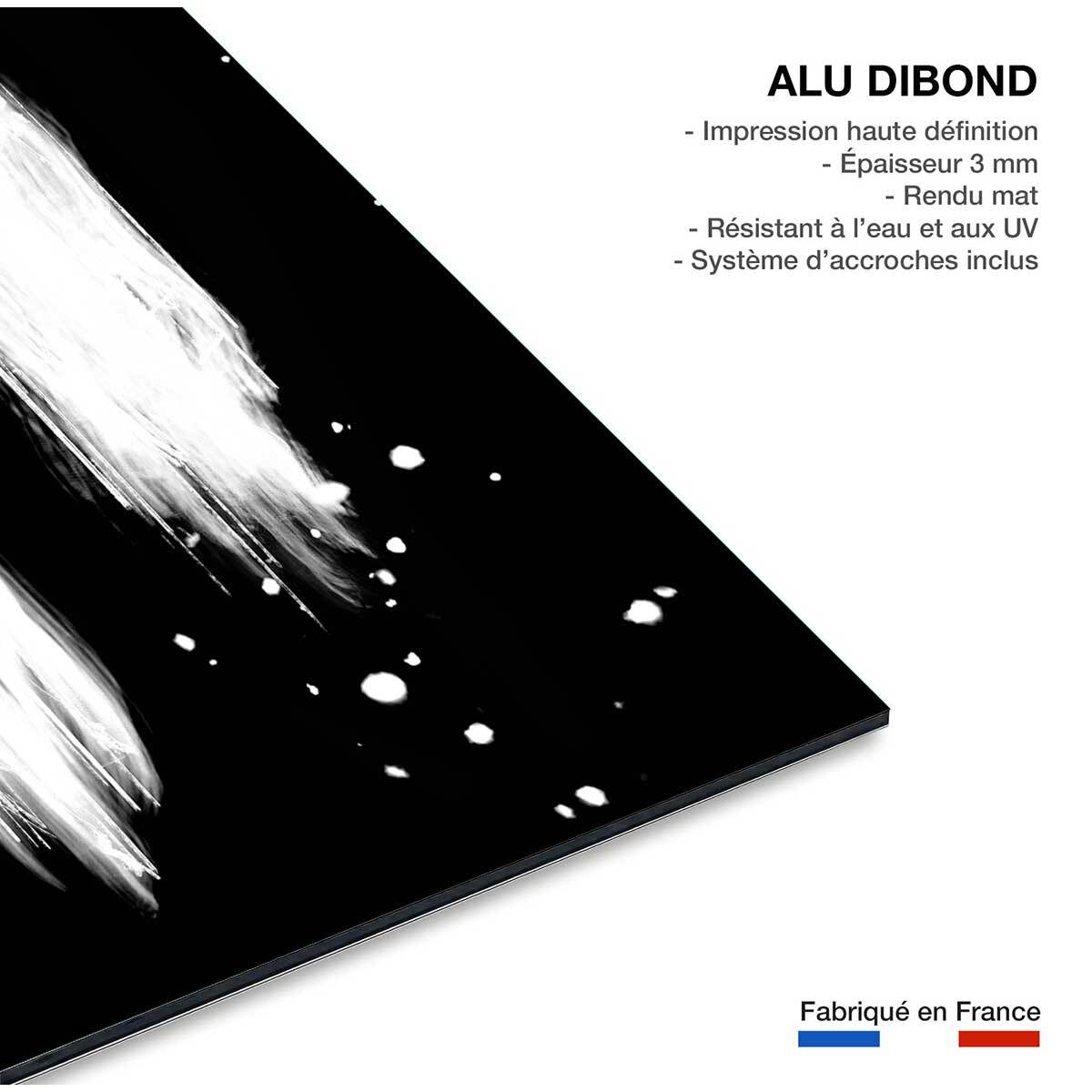 Tableau abstrait épreuve négative Tableau alu Dibond