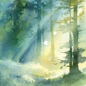 Cadre deco Bosquet ombragé Tableau alu Dibond