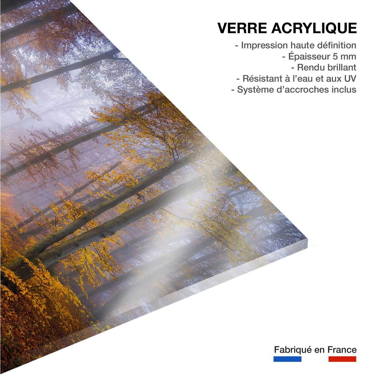 Tableau Chemin d'automne Tableau plexiglas