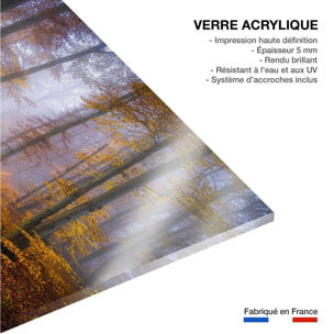 Tableau Chemin d'automne Tableau plexiglas