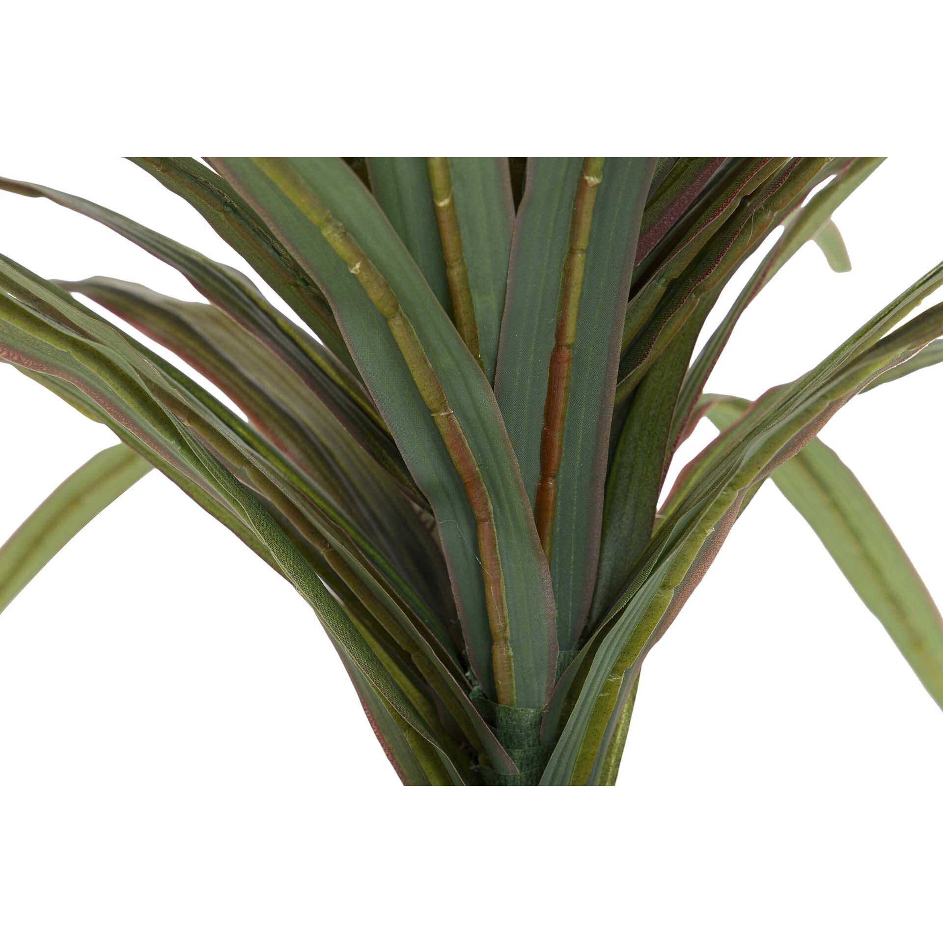 Planta Yucca Con Maceta 58x58x58 Cm