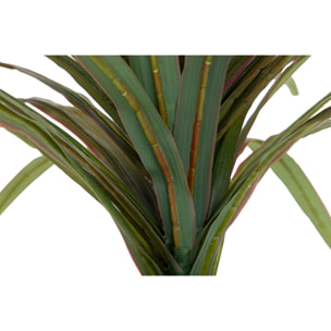 Planta Yucca Con Maceta 58x58x58 Cm