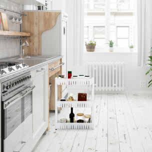 Etagere A Roulettes 3 Niveaux