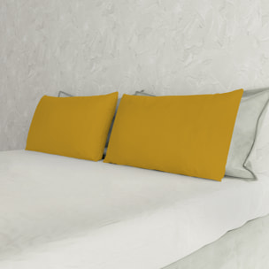 COPPIA FEDERE MAX COLOR, 100% Cotone, Made in Italy - SENAPE