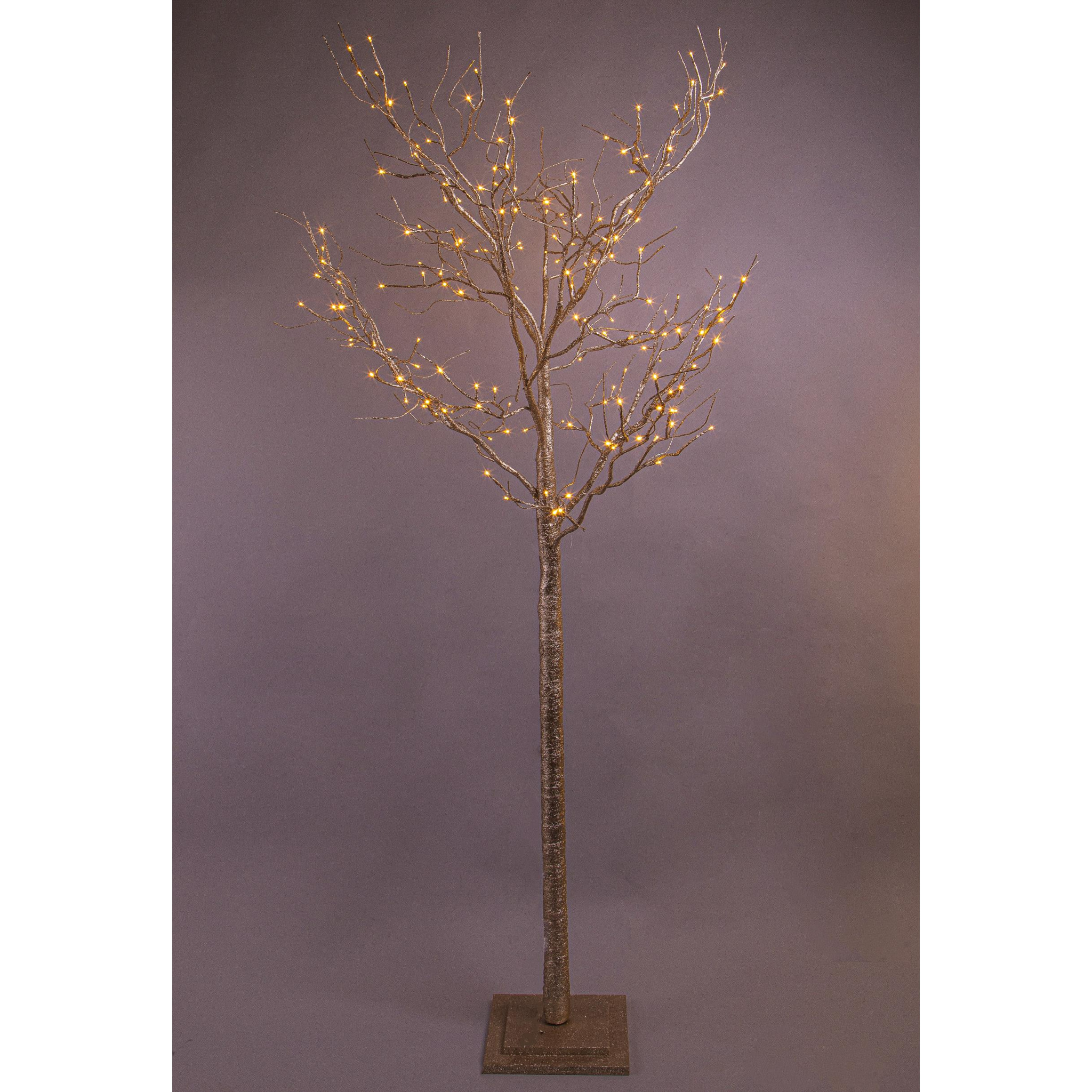 Faggio ramo - Pezzi 1 - 90xH210x90cm - Bianchi Dino SpA