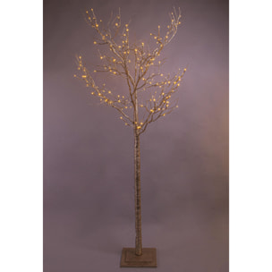 Faggio ramo - Pezzi 1 - 90xH210x90cm - Bianchi Dino SpA