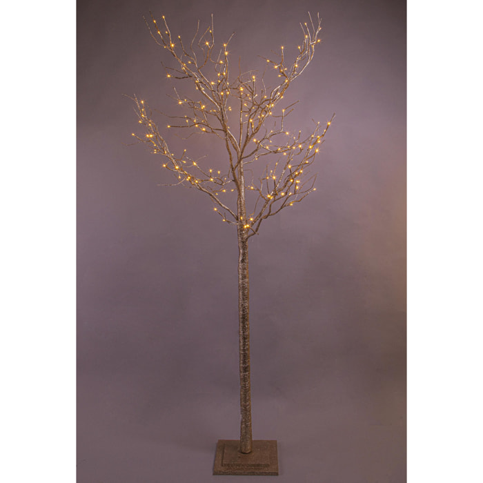 Faggio ramo - Pezzi 1 - 90xH210x90cm - Bianchi Dino SpA