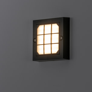 FORLIGHT Netz apliqiue exterior cuadrado en luz blanco cálido 3000K en color negro