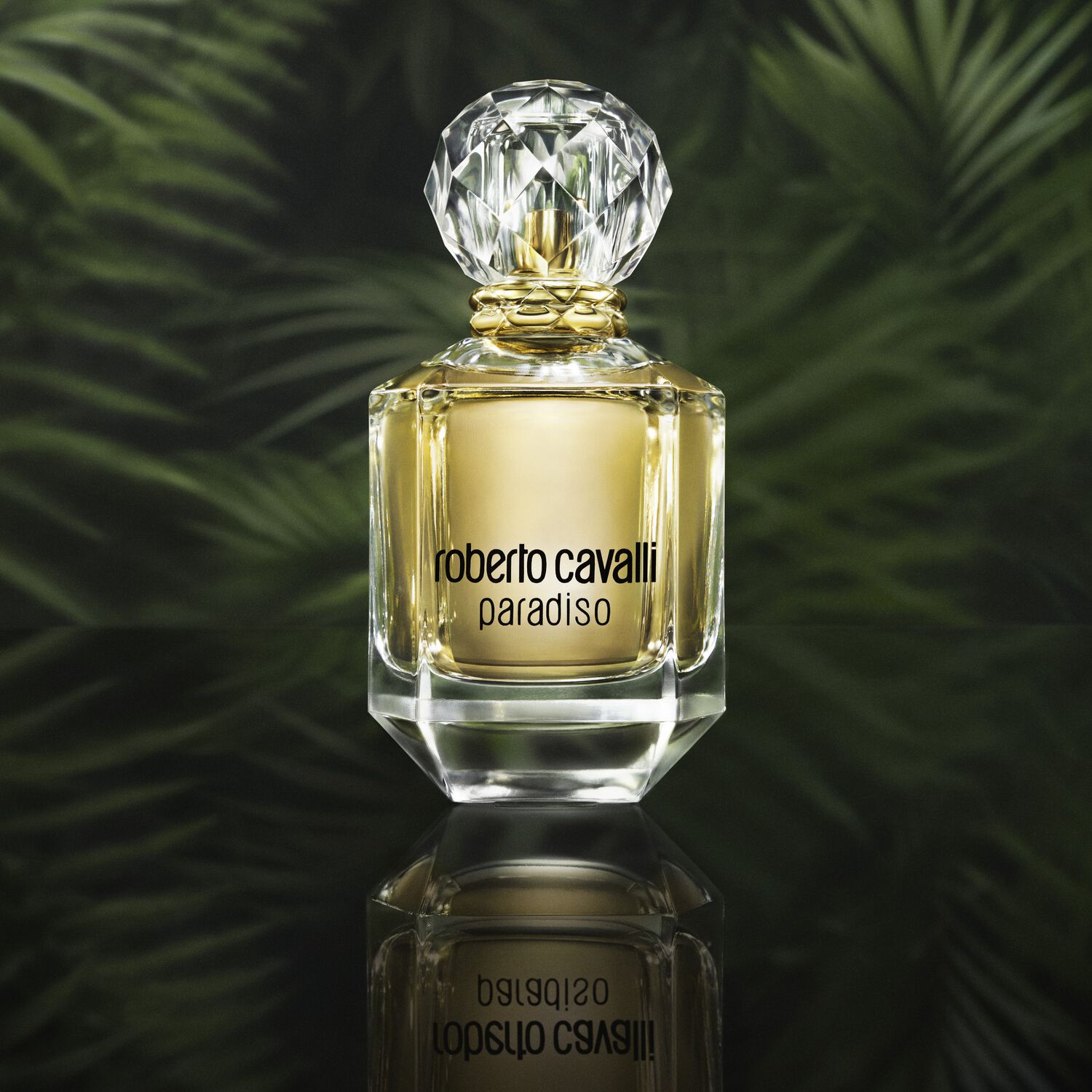 Paradiso - Eau de Parfum 75 ml