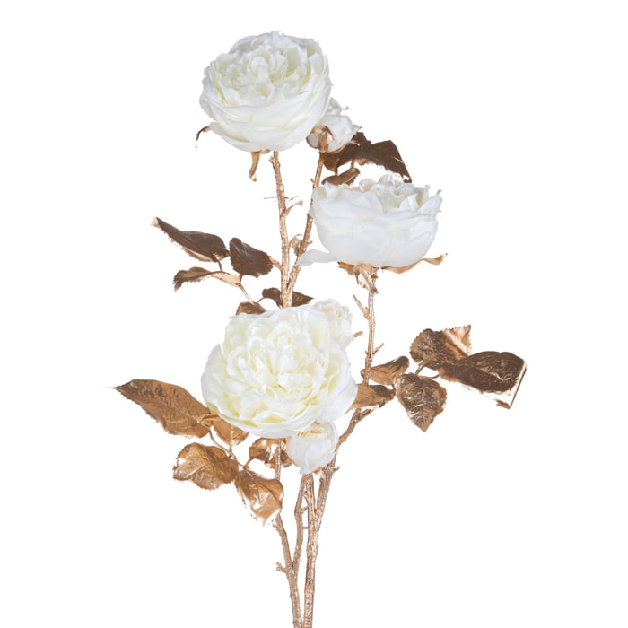 Rosa inglese - Pezzi 6 - 21xH101x20cm - Bianchi Dino SpA