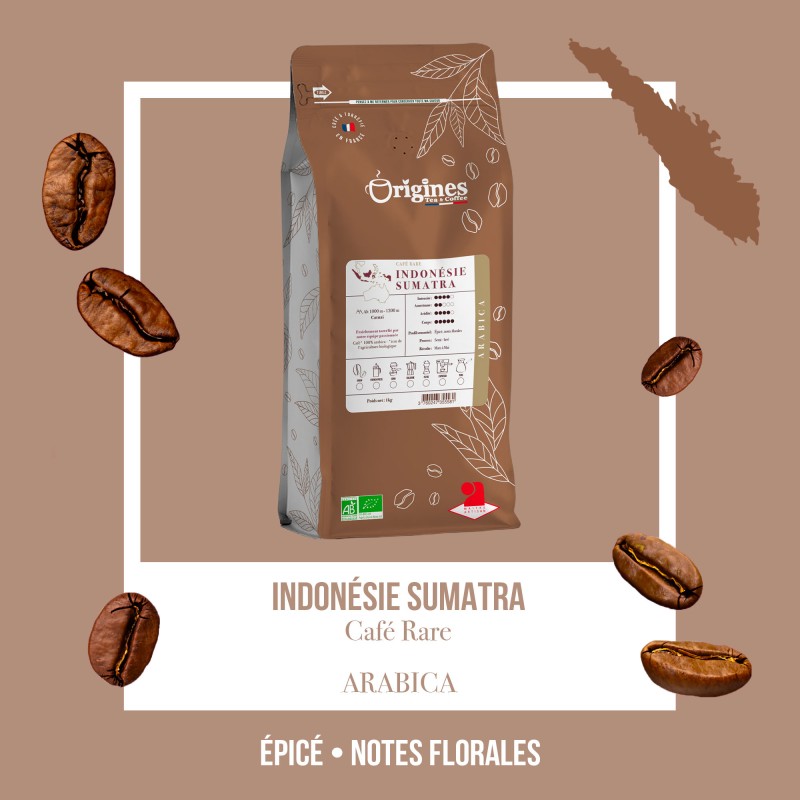 Café Rare Bio - Sumatra Gayo - Grain 1kg