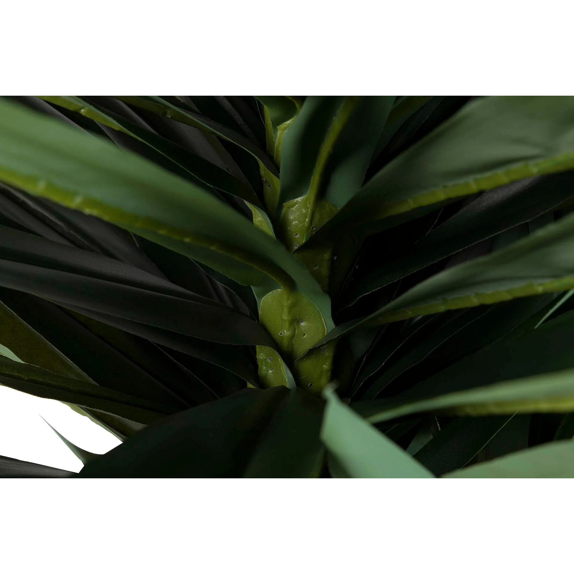 Planta Yucca Gloriosa Con Maceta 55x55x145 Cm