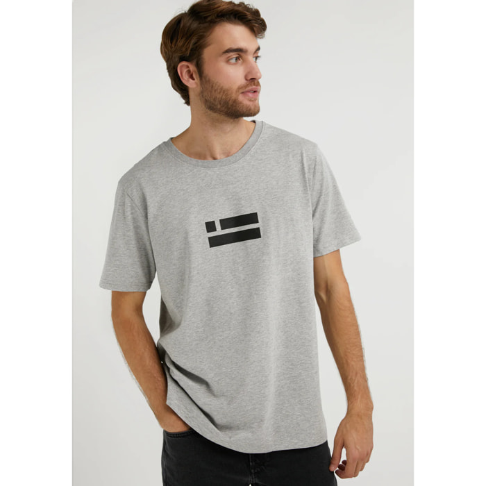 Camiseta Básica  Flag  en Gris D.Franklin