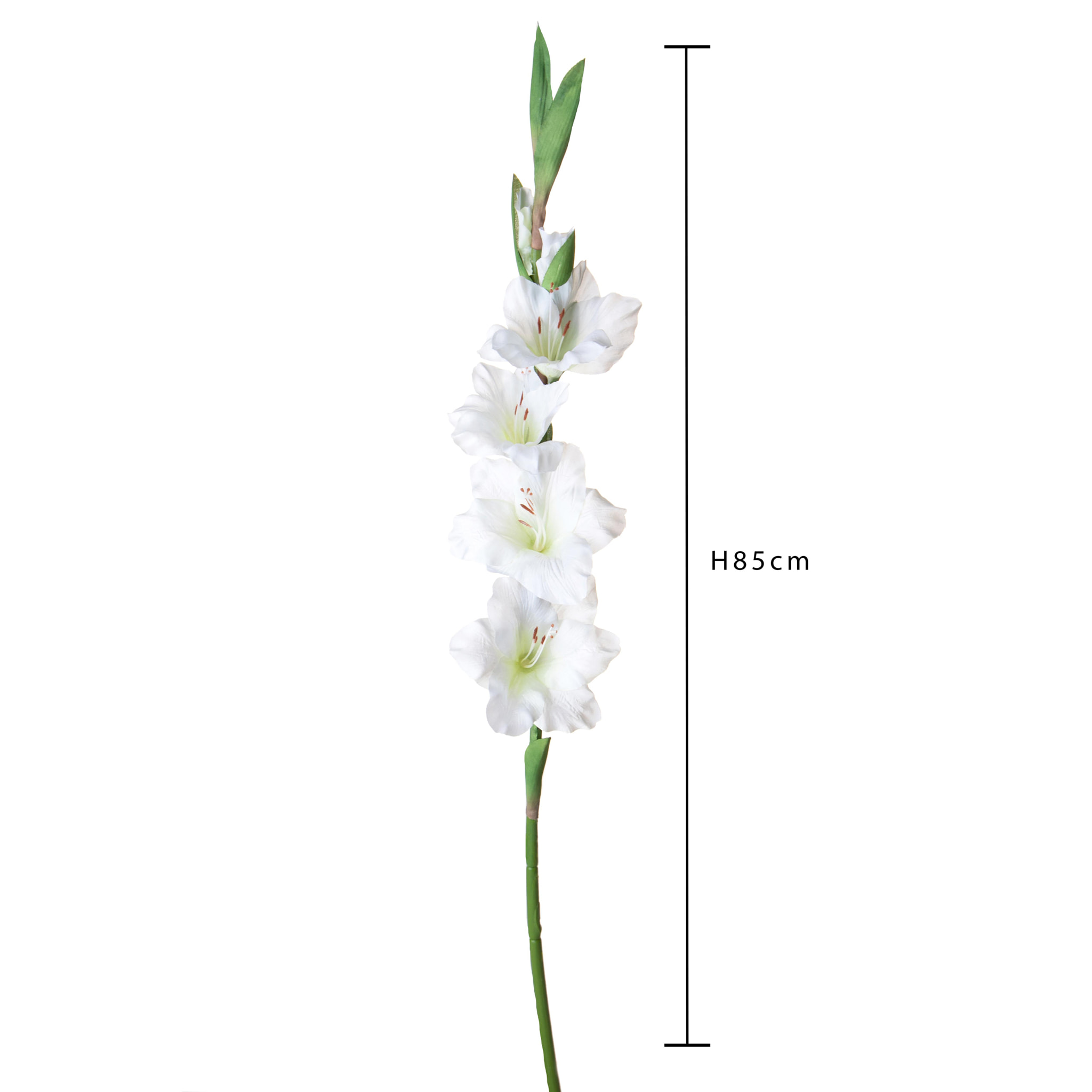 Fiore Di Gladiolo. Altezza 85 Cm - Pezzi 6 - 15X85X8cm - Colore: Bianco - Bianchi Dino - Fiori Artificiali