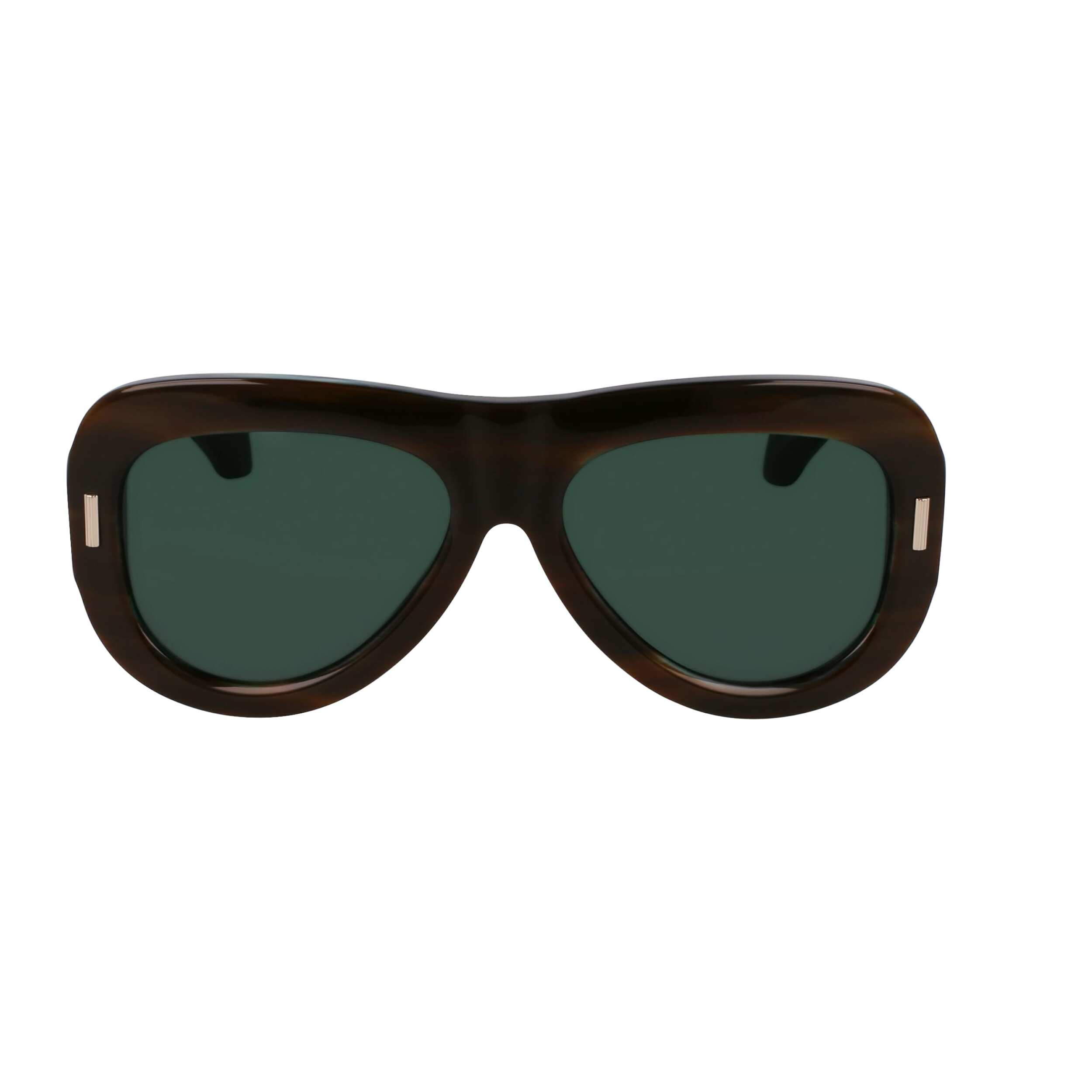 Gafas de sol Ferragamo Mujer SF2029SE-221