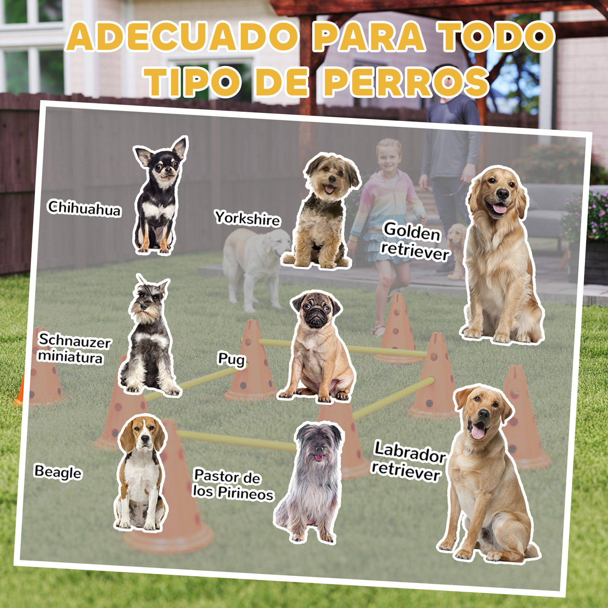 Juego de Agilidad para Perros, Vallas de Obstáculos de Entrenamiento de Coordinación, 8 Conos 30 cm de Altura, 4 Barras 80 cm de Longitud y Bolsa de Transporte, para Deporte de Fútbol y Perros