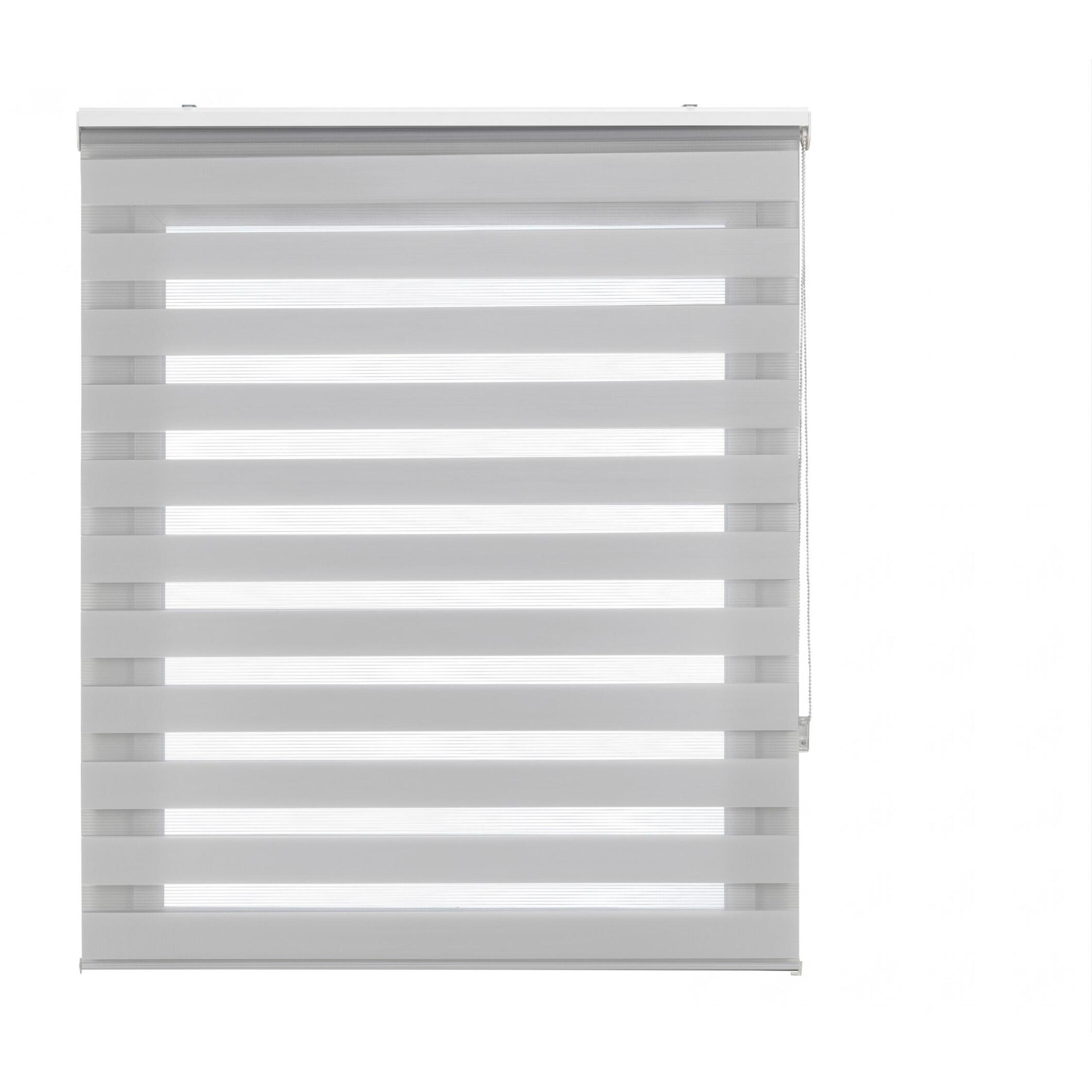 Store enrouleur Polyester Translucide 100x250