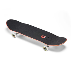 Skate completo Hydroponic POOL CO CELL